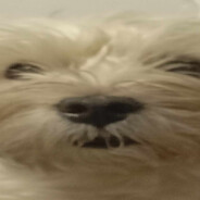 MASTURBATOR ANALNY GRZEJNIK 69