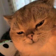 多人运动罗志祥