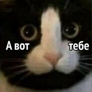 MAMY MAV avatar