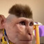 Nohi