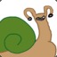Talk to the snail