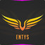 entys