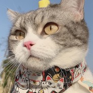 喷气机圣彼得堡