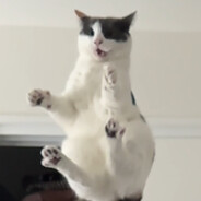 rraks