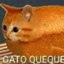 GATO QUEQUE