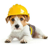 Safety Inspector