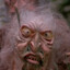 Nilbog