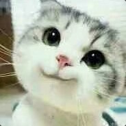 李文星永不抗压