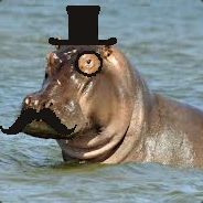 Dr.Hippo