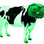 Green Cow