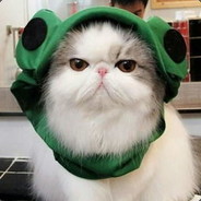 不会游泳的鱼先生