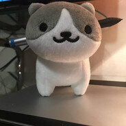 PP Cat