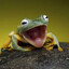 Avatar of player Лягушка задушила