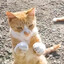 Playzee