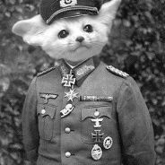 Peter.the.Desertwalker