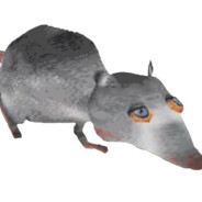 Jerma Rat