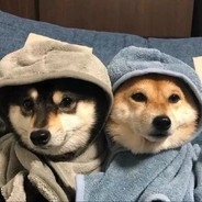 翻斗花园突击手牛爷爷