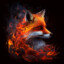 FireFox(FF)