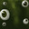 Curious's Avatar