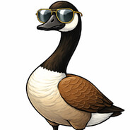 Goose