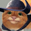 GATITO AUTITO