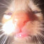 No one P7YCK