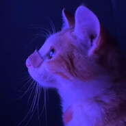 Meph