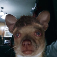 transei não gostei