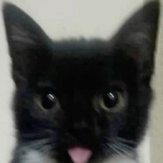 Виталий Араб avatar