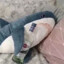 玄麥柑桔
