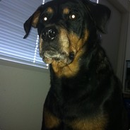 ᡕᠵデ᠊𝔊𝔞𝔯𝔣𝔬