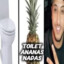 toilet ananas nasdas