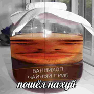 Шмегулятина