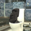 Skibidi Moai🗿