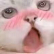 波奇酱最爱吃薯条OqO