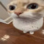 neSK1LL