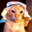 Habibi Cat
