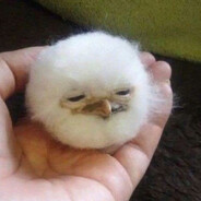 ..