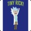 Tiny Rick!