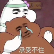 apex老牌涡轮增压机