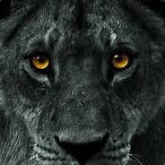 xTrimm. - steam id 76561198154552300