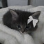 Spokoyew's avatar