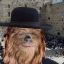 Jewbacca