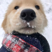 CSGO周年庆#夜的第七章