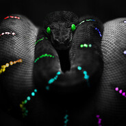 SnakeMaster avatar
