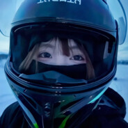 你激怒了一头雄狮