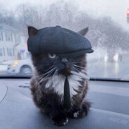 ОВОЩЕБАЗА 2.0 avatar