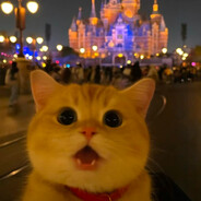 冰美式好苦狗都不喝