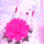 igarashi_ayane