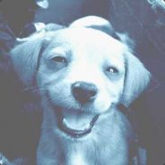Arkane - steam id 76561197964321917